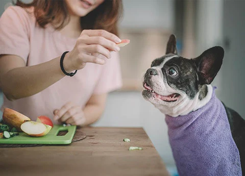 15 Healthiest Human Foods - Apples