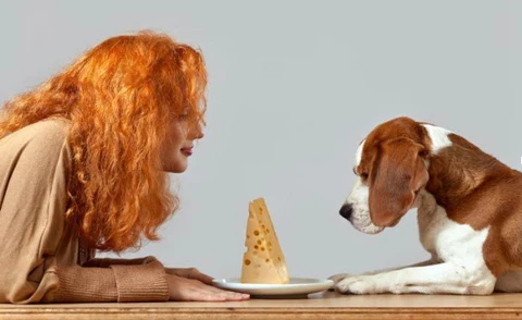 15 Healthiest Human Foods - Cheese