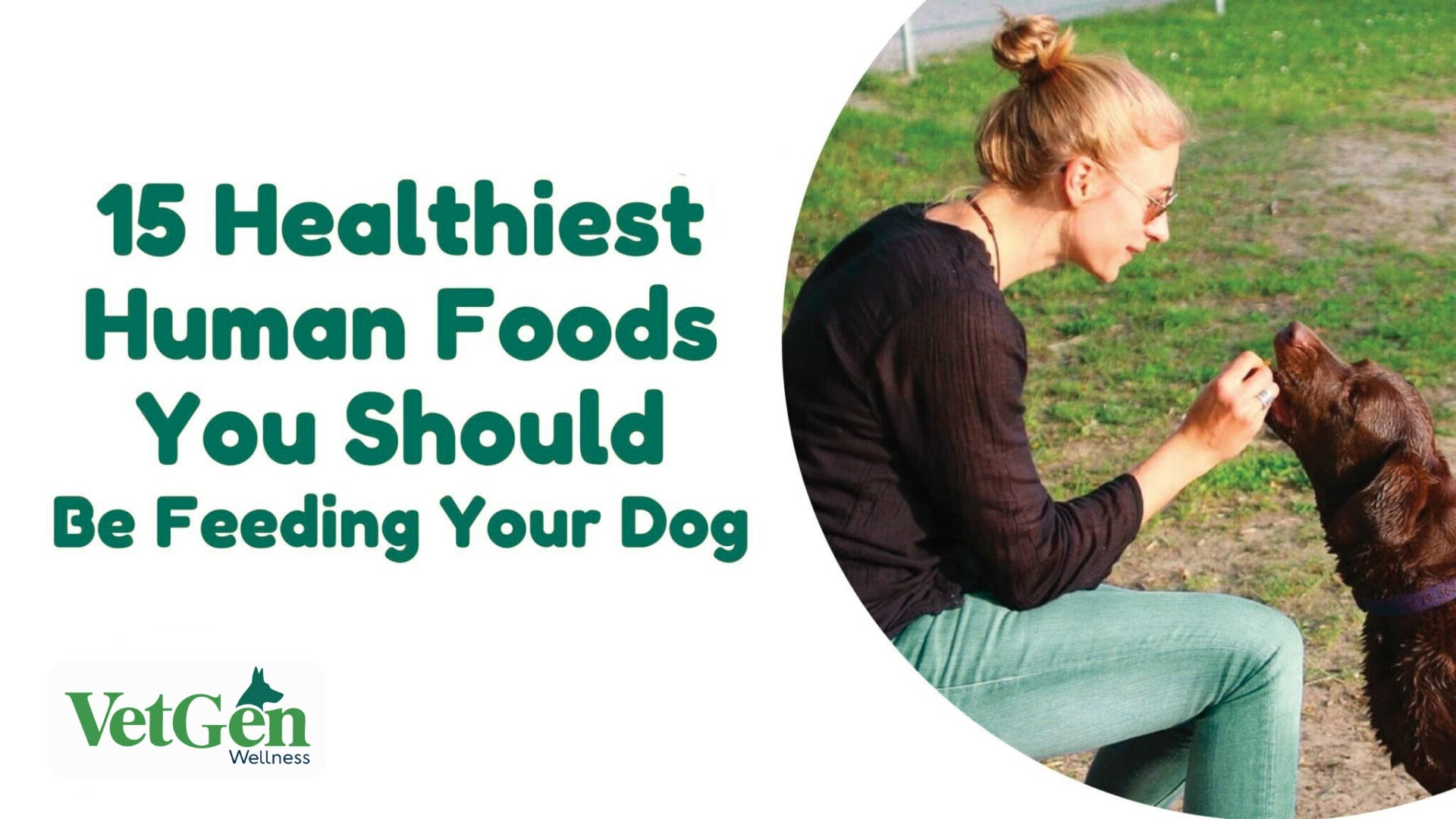 15 Healthiest Human Foods You Should Be Feeding Your Dog