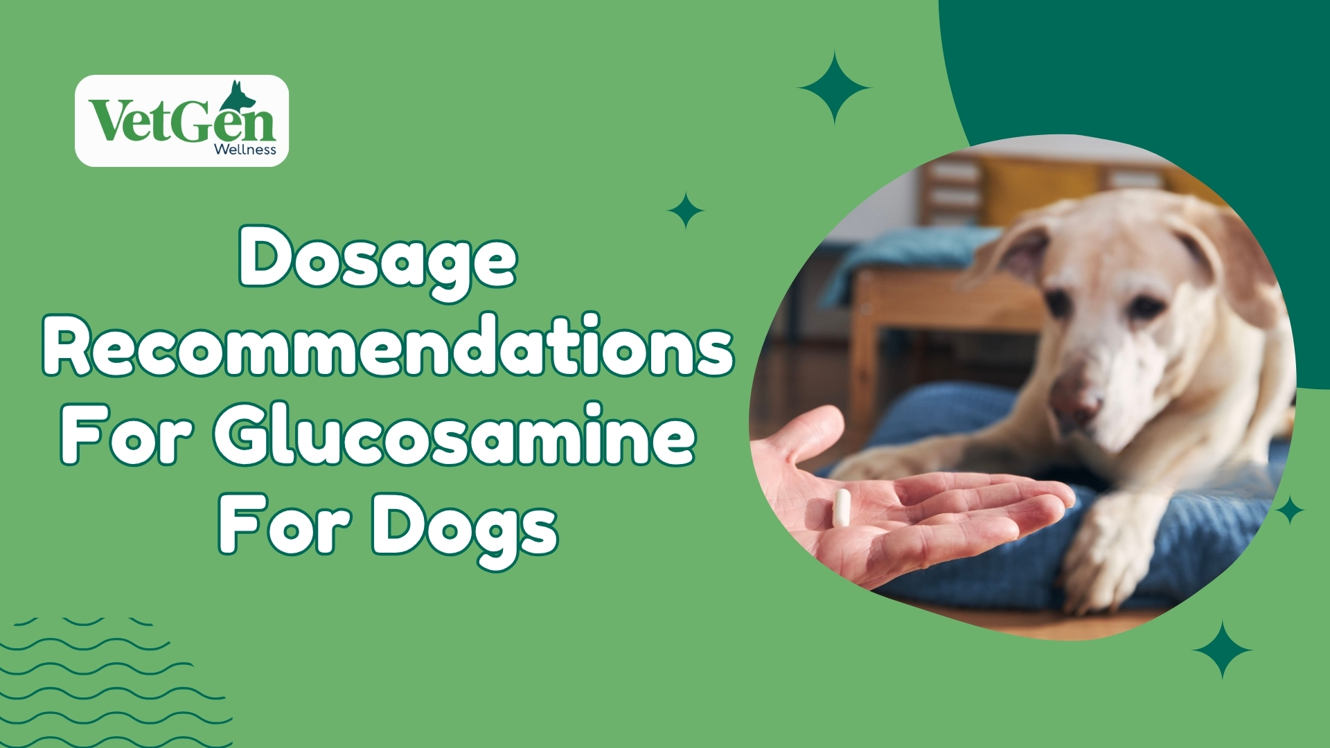 Glucosamine For Dogs - Dosage Recommendations