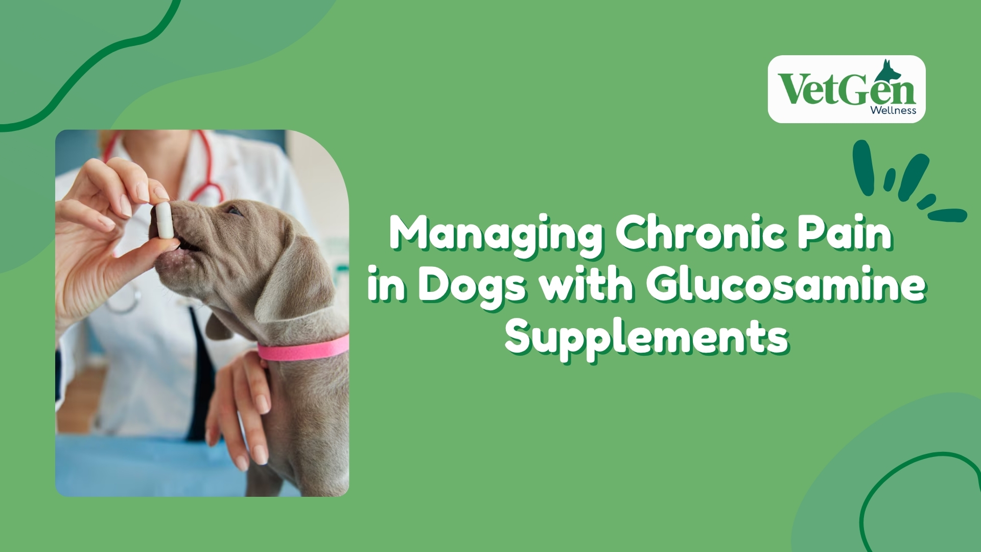 Managing Chronic Pain in Dogs with Glucosamine Supplements