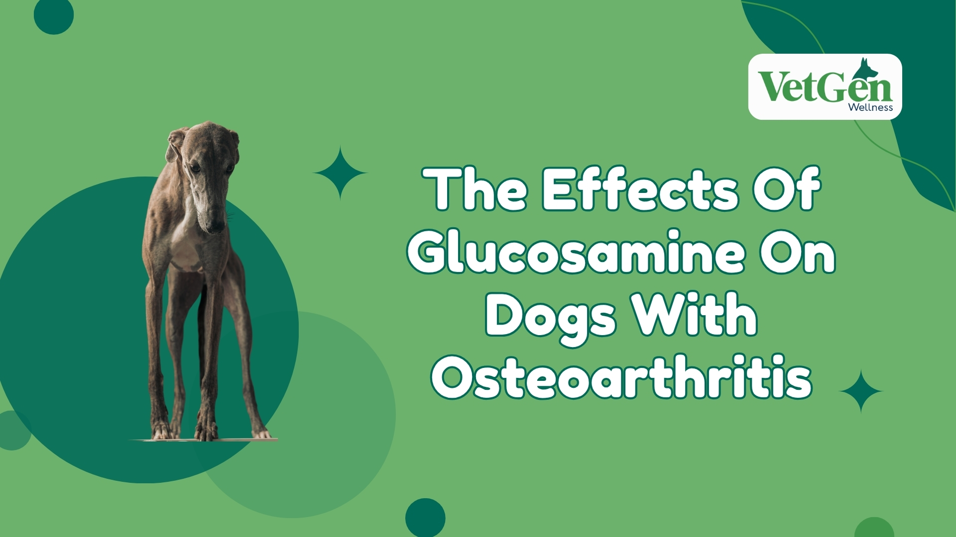 The Effects Of Glucosamine On Dogs With Osteoarthritis