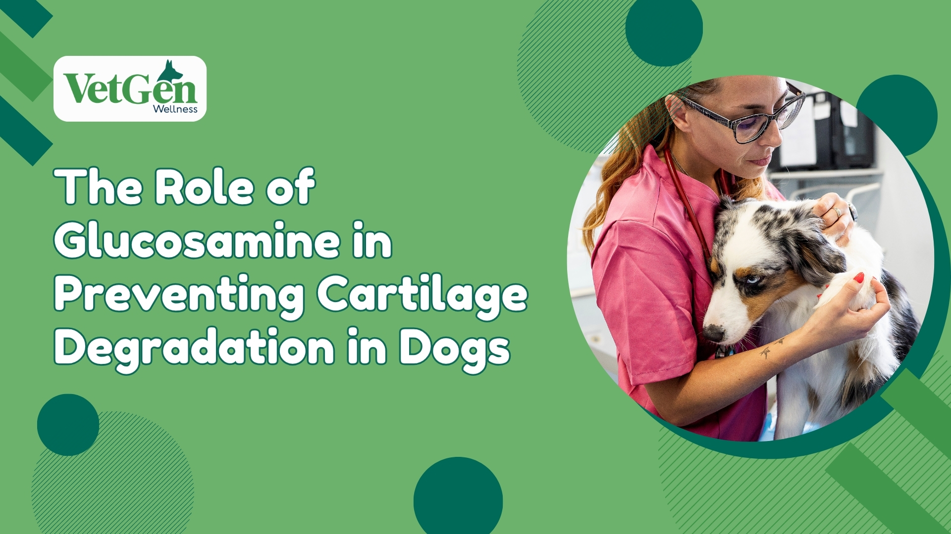 The Role of Glucosamine in Preventing Cartilage Degradation in Dogs