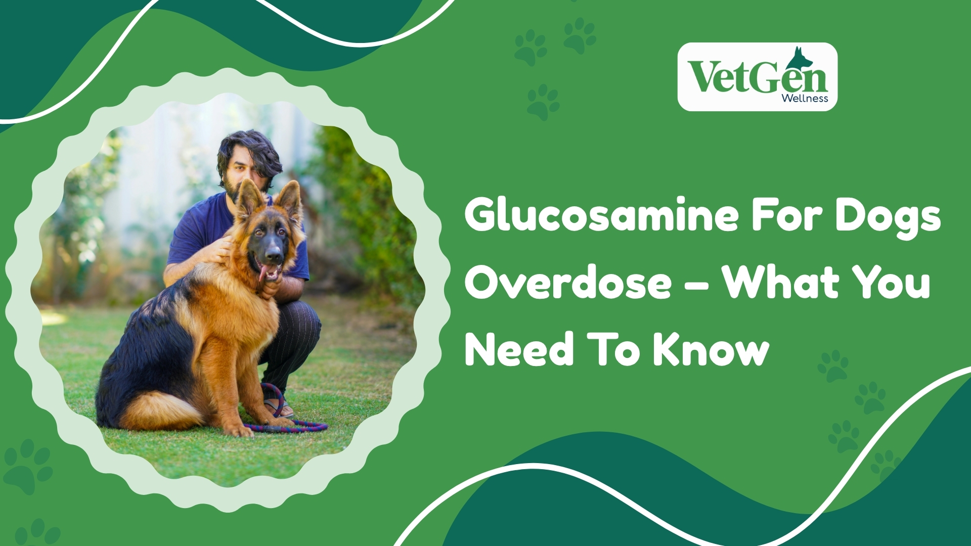 Glucosamine For Dogs Overdose - What You Need To Know