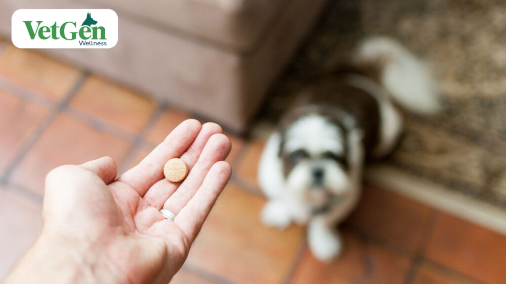 Glucosamine For Dogs Overdose - What You Need To Know