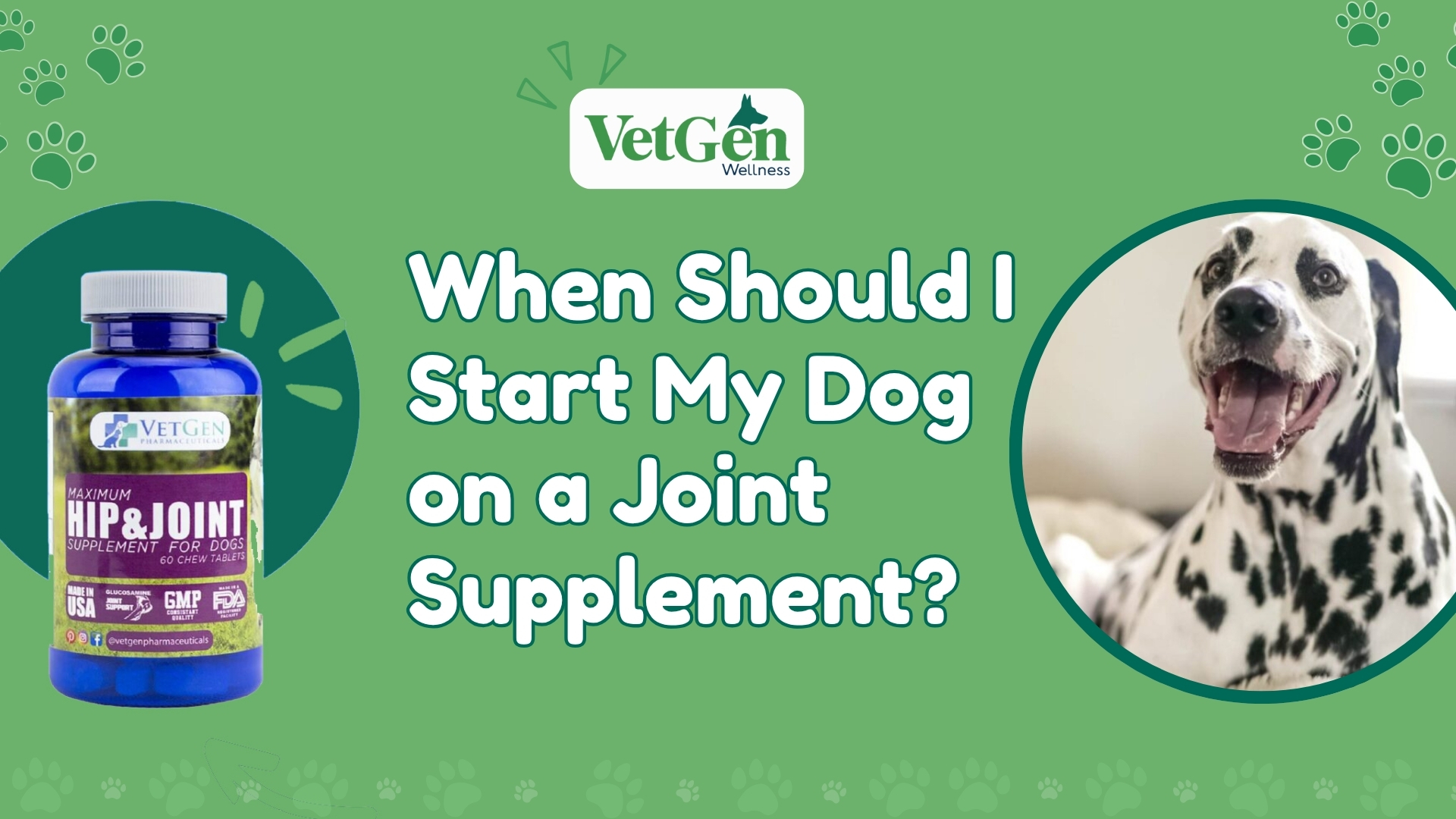 When Should I Start My Dog on a Joint Supplement