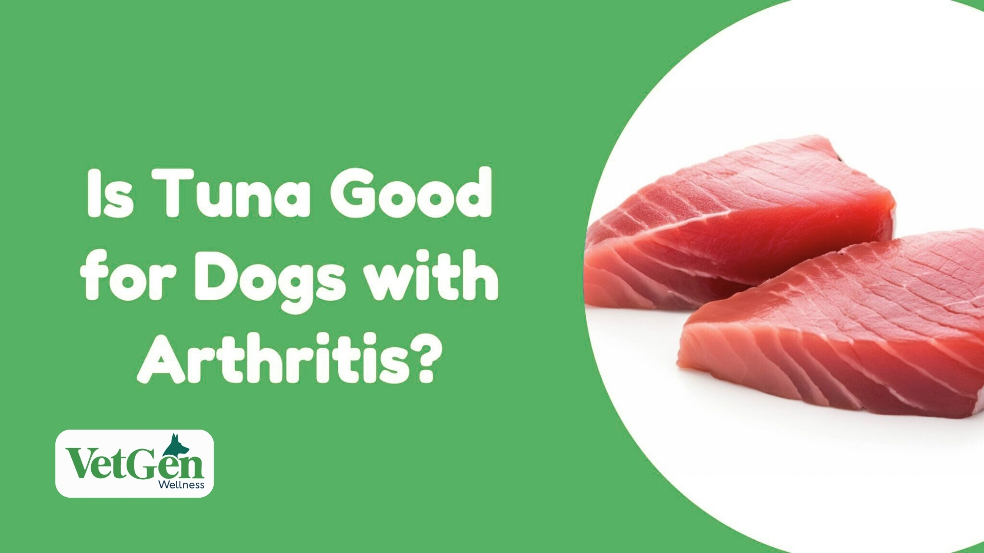 Is Tuna Good For Dogs With Arthritis