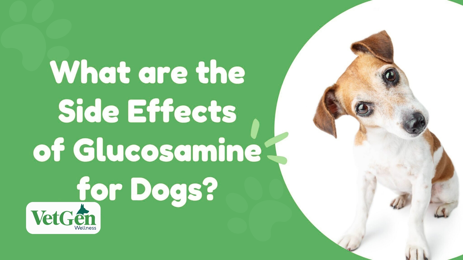 What Are The Side Effects Of Glucosamine For Dogs