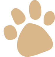 Paw Icon