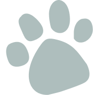 Grey color paw icon