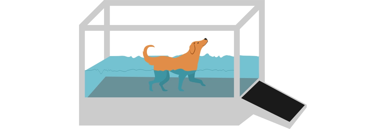 Arthritis - Hydrotherapy